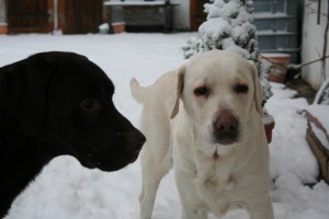 Emma & Benno